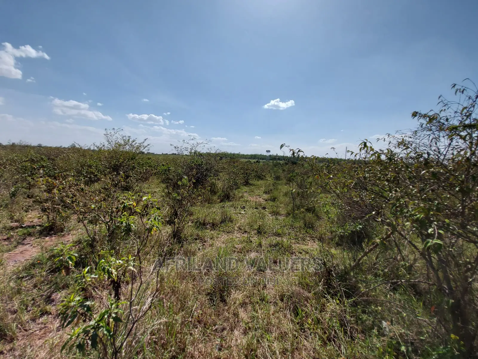 Tuala-Rongai Land for Sale: Ideal Investment Opportunity in Ongata Rongai