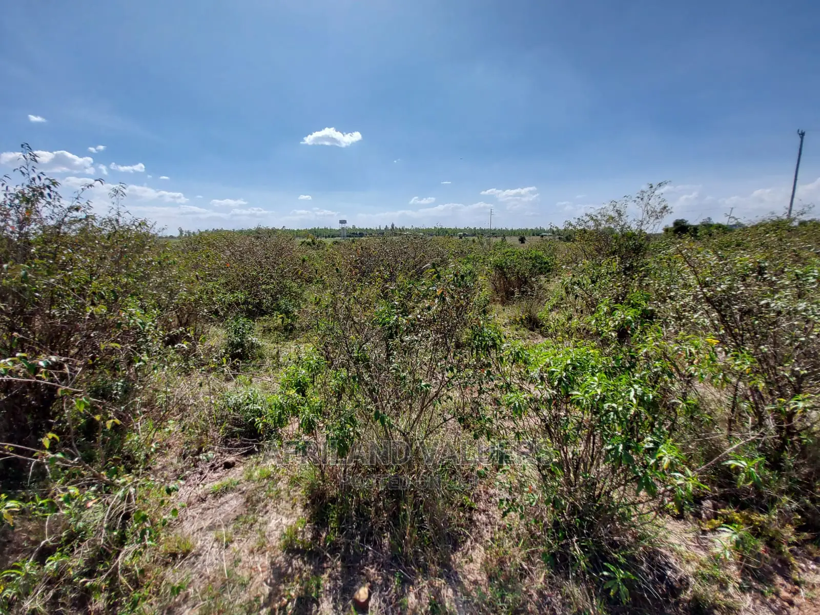 Tuala-Rongai Land for Sale: Ideal Investment Opportunity in Ongata Rongai