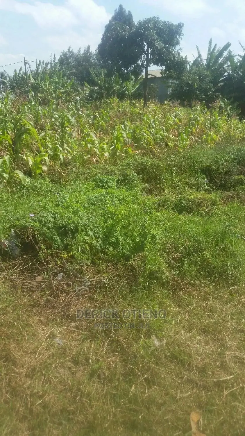 Lease Opportunity: 100 x 100 Land Plot in Satellite Kabiria in Dagoretti