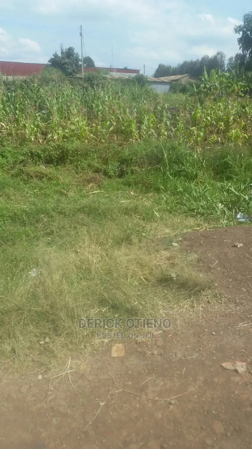Lease Opportunity: 100 x 100 Land Plot in Satellite Kabiria in Dagoretti