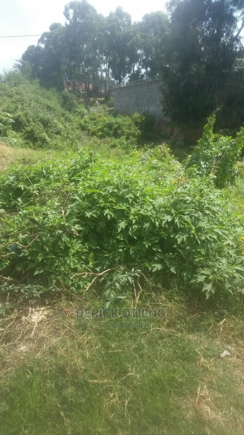 Lease Opportunity: 100 x 100 Land Plot in Satellite Kabiria in Dagoretti