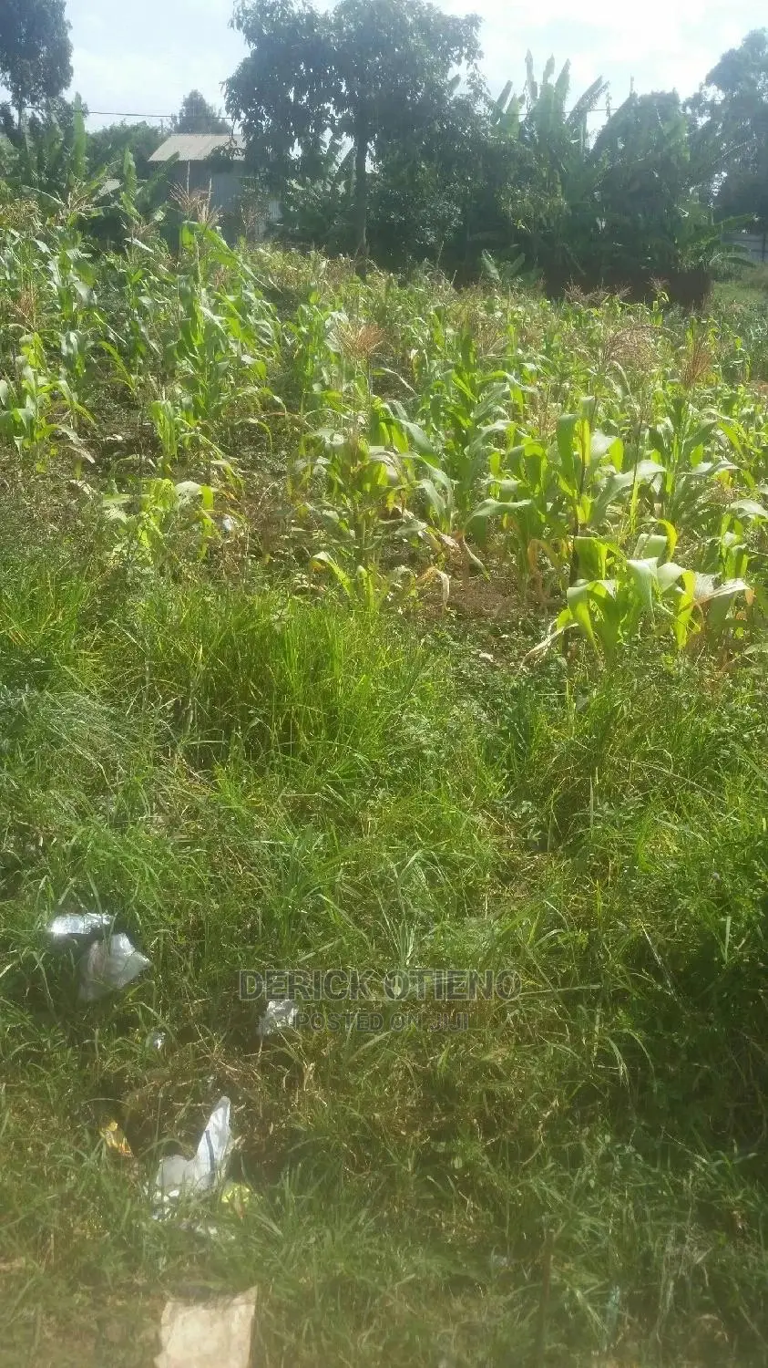 Lease Opportunity: 100 x 100 Land Plot in Satellite Kabiria in Dagoretti