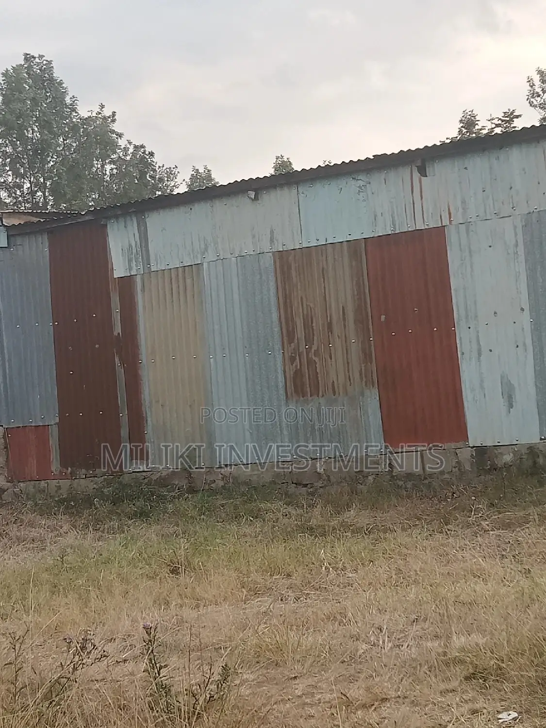 Kenol Town Offers 240 ft x 80 ft Plots for Sale in Kimorori/Wempa