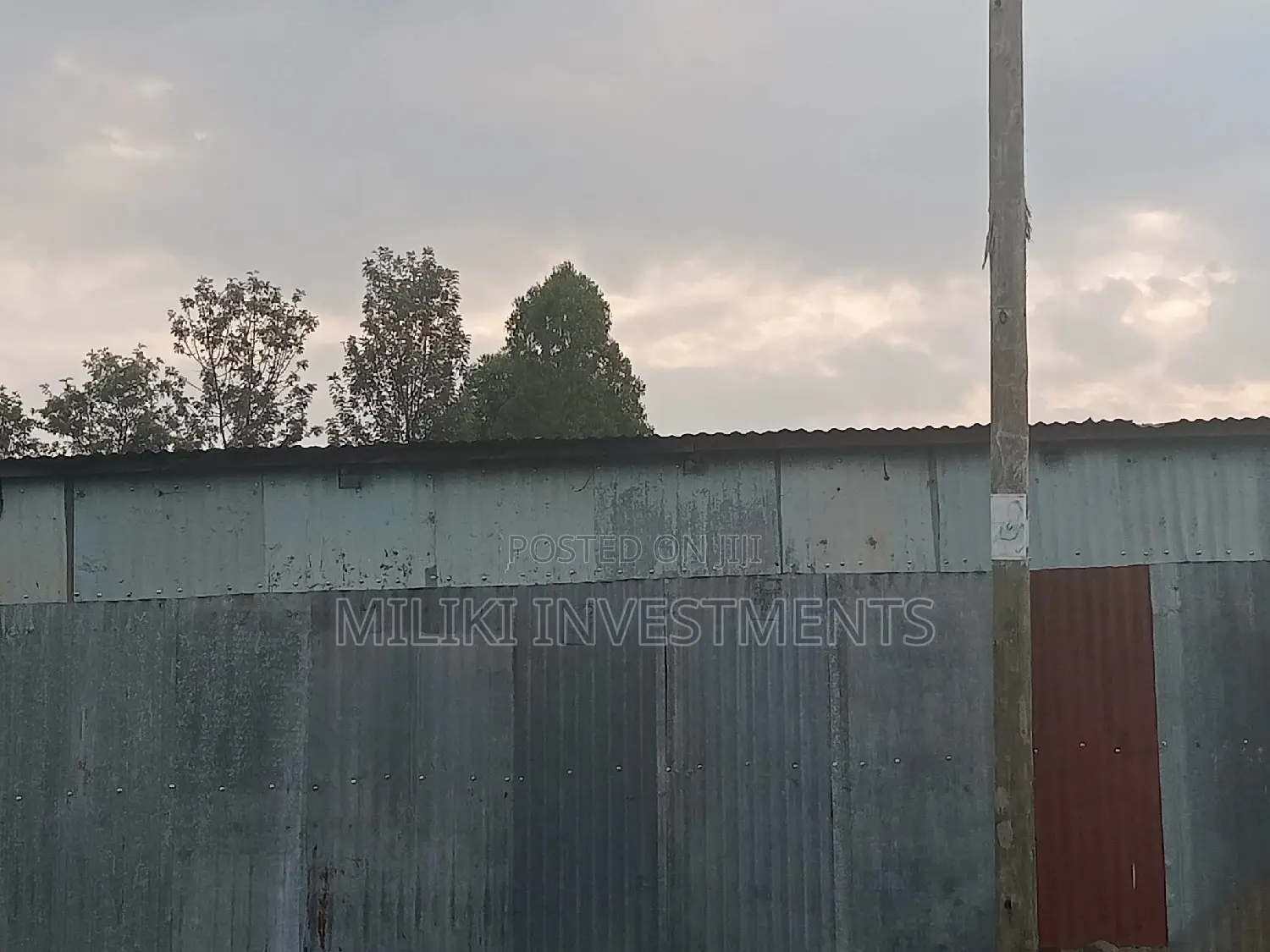 Kenol Town Offers 240 ft x 80 ft Plots for Sale in Kimorori/Wempa