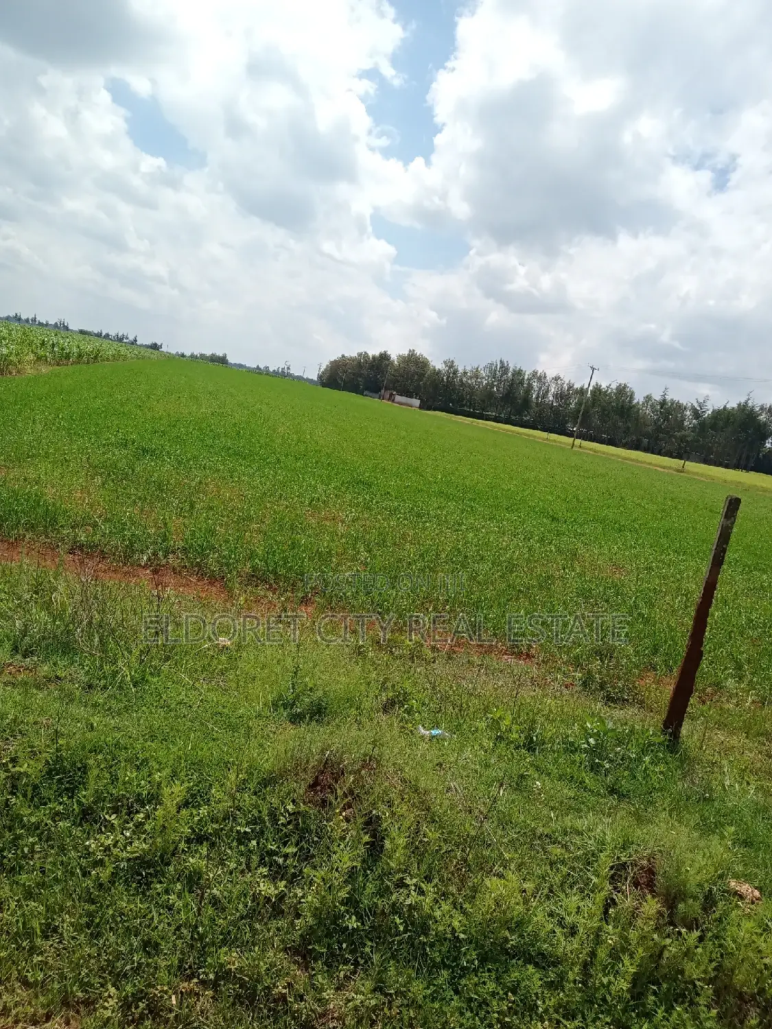 Spacious 1/2 Acre Land Near Tarmac in Marura - Prime Location in Eldoret CBD