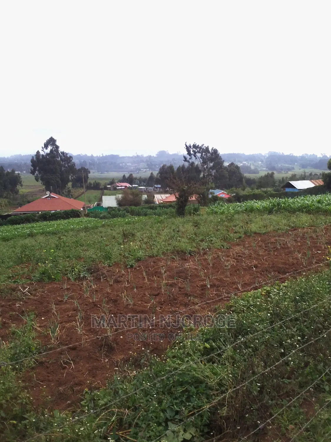 0.75 Acres Uplands ( Nyambari) Lari in Lari/Kirenga
