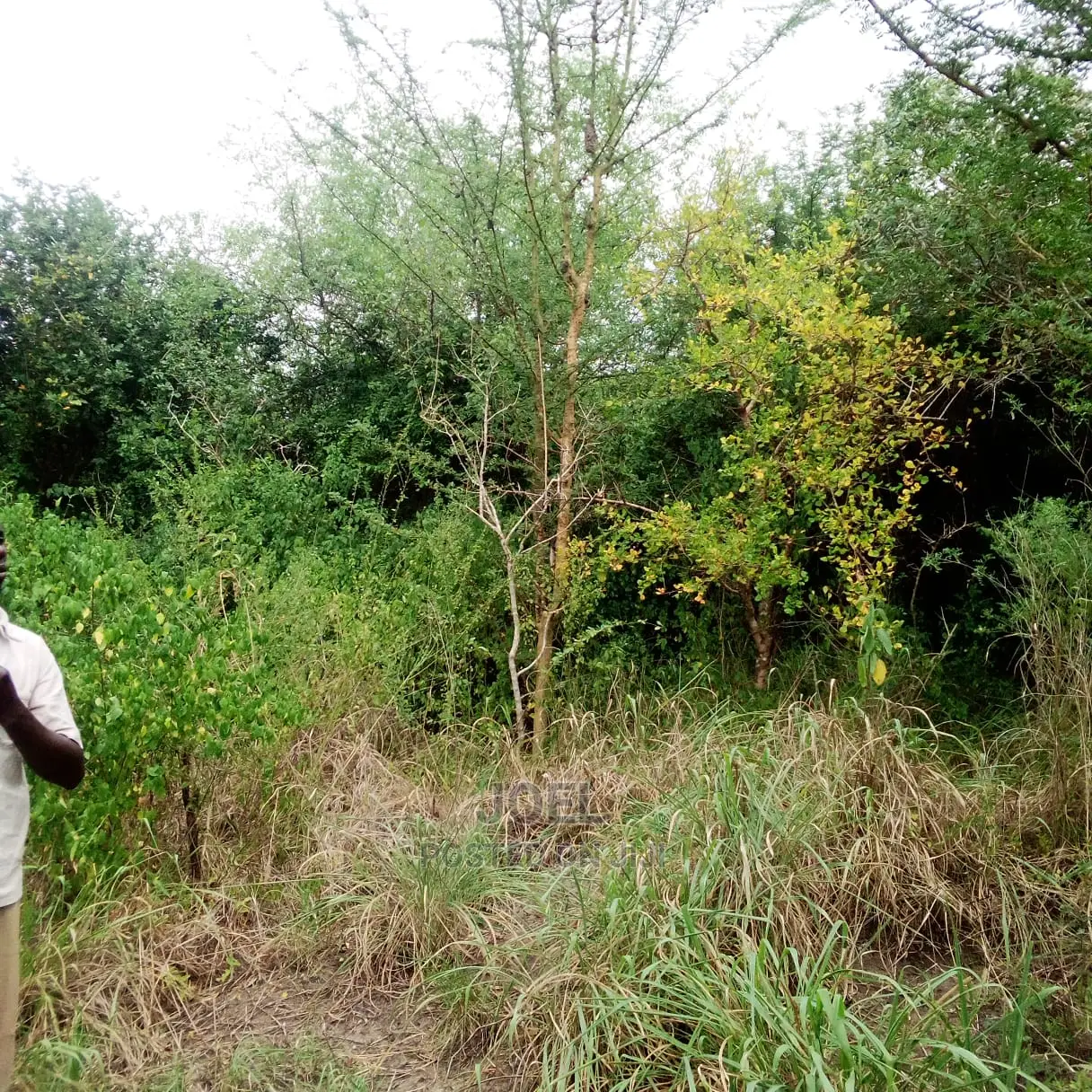 12-Acre Plot in Malindi: Ideal Investment Opportunity in Malindi