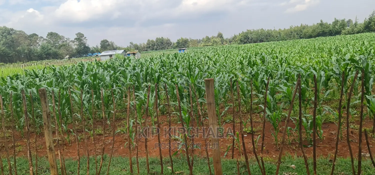 Affordable 1/4 Acre Land Plots for Sale in Lemukok Kapseret, Eldoret in Kapseret