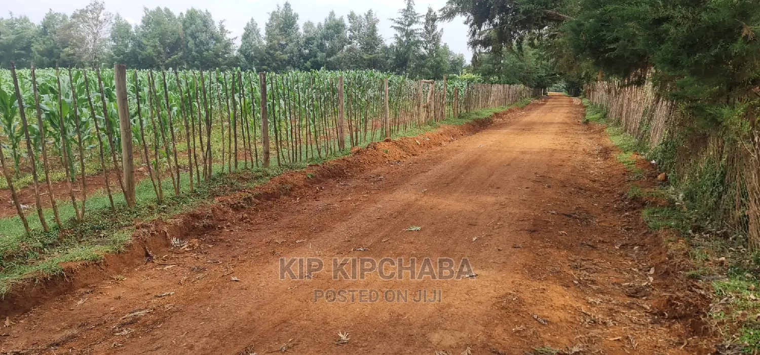 Affordable 1/4 Acre Land Plots for Sale in Lemukok Kapseret, Eldoret in Kapseret