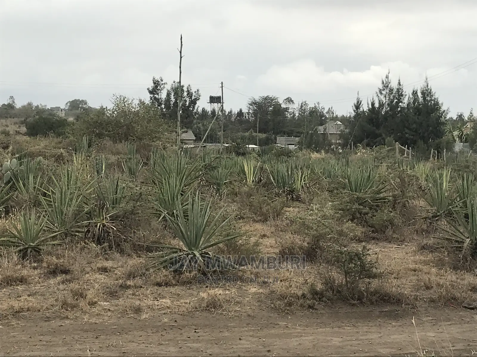 5 Acre Katani for Sale in Katani