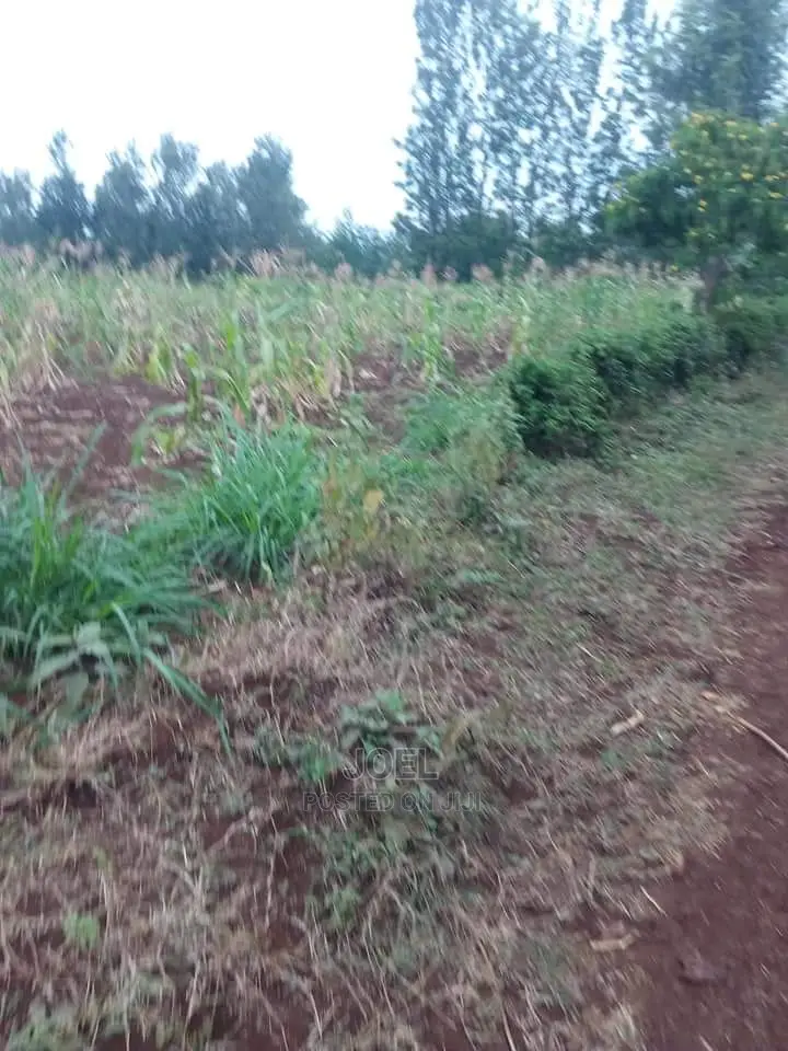 5 Acre Land in Matuu - Ideal for Agriculture or Development in Matuu
