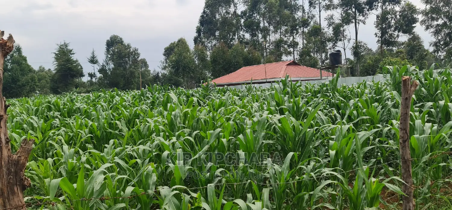 Mailli Nne Residential Plots for Sale in Eldoret in Huruma