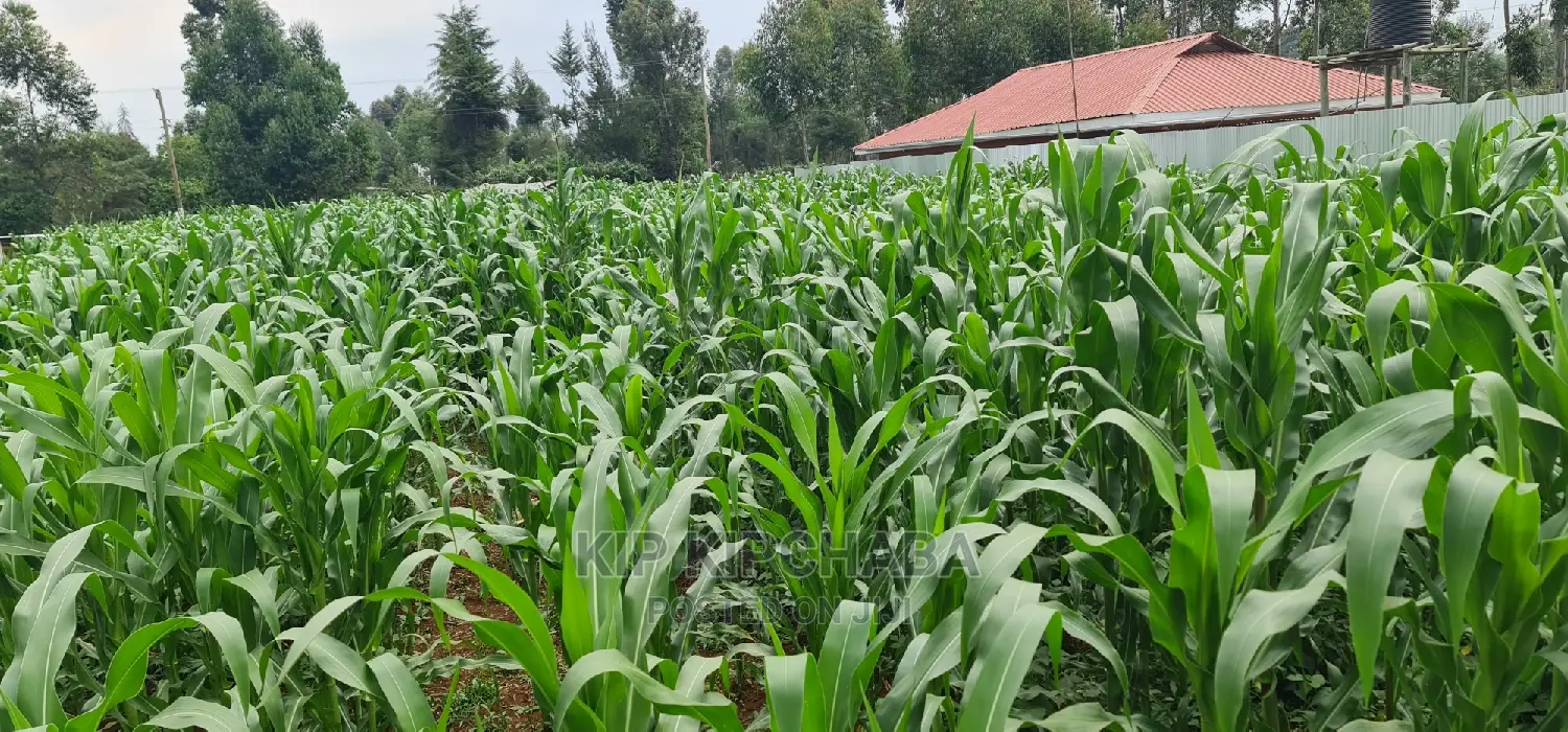 Mailli Nne Residential Plots for Sale in Eldoret in Huruma