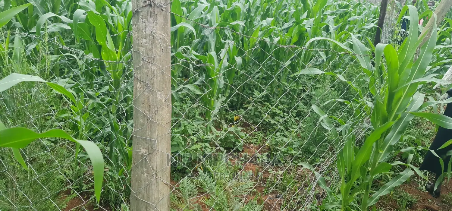 Mailli Nne Residential Plots for Sale in Eldoret in Huruma