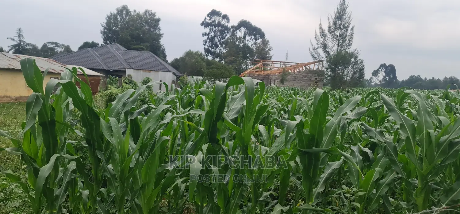 Mailli Nne Residential Plots for Sale in Eldoret in Huruma
