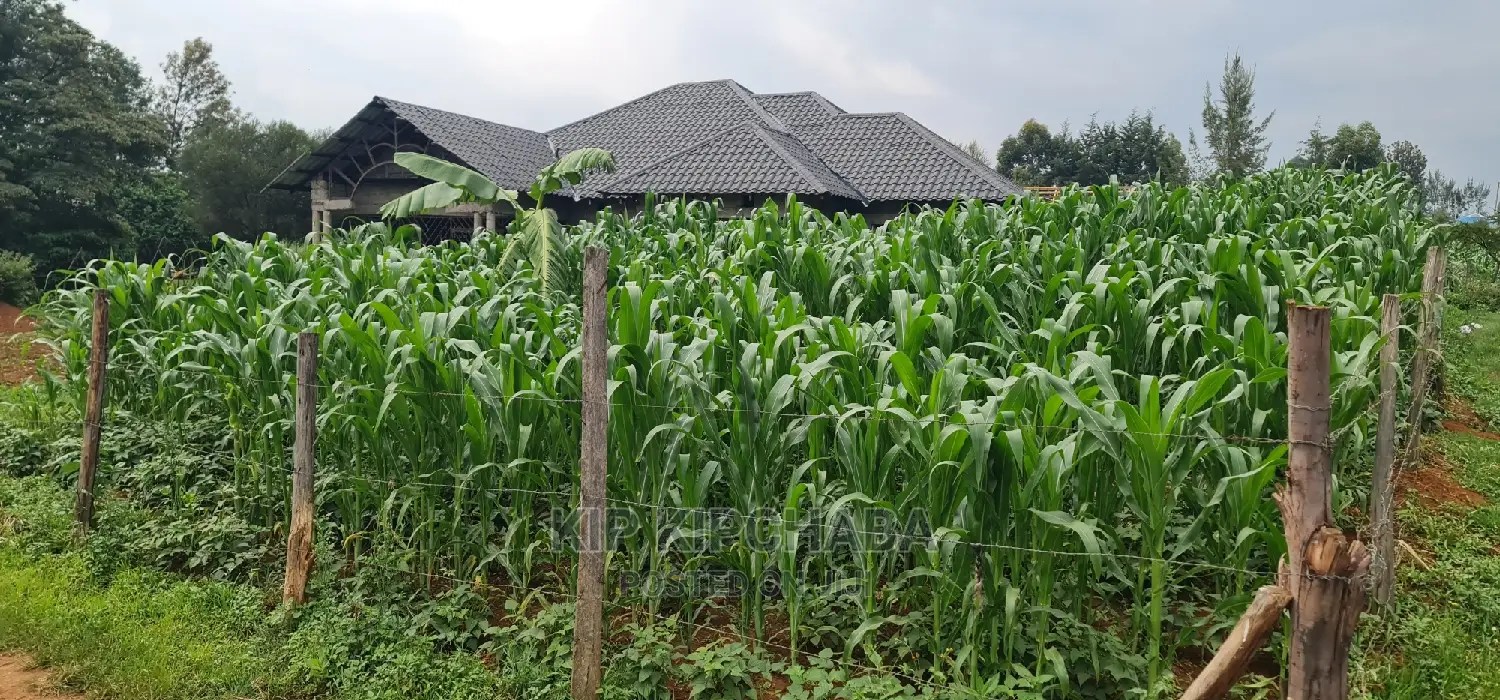 Mailli Nne Residential Plots for Sale in Eldoret in Huruma
