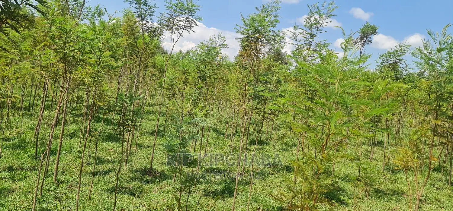 5 Acres Land for Sale in Mlango Kapseret in Eldoret in Ngeria