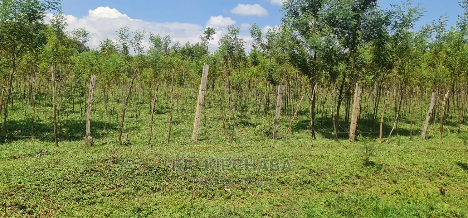 5 Acres Land for Sale in Mlango Kapseret in Eldoret in Ngeria