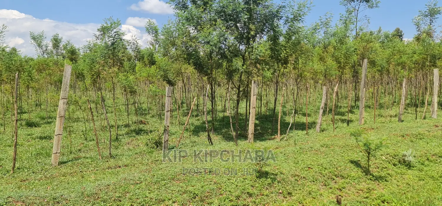 5 Acres Land for Sale in Mlango Kapseret in Eldoret in Ngeria