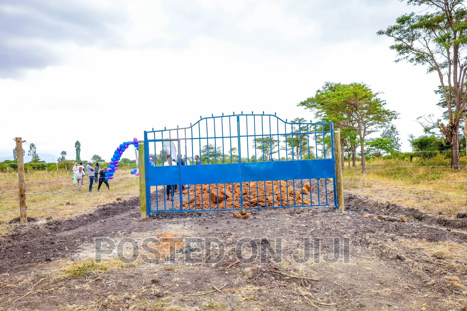 Ruby Gardens in Juja Farm in Kalimoni