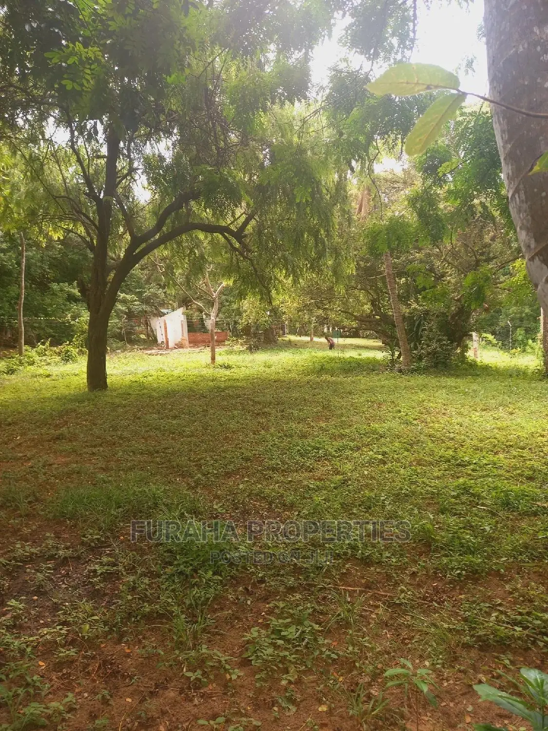 Prime 5.4 acre creek land in Mtwapa, perfect for development or investment. Contact us now! in Mtwapa