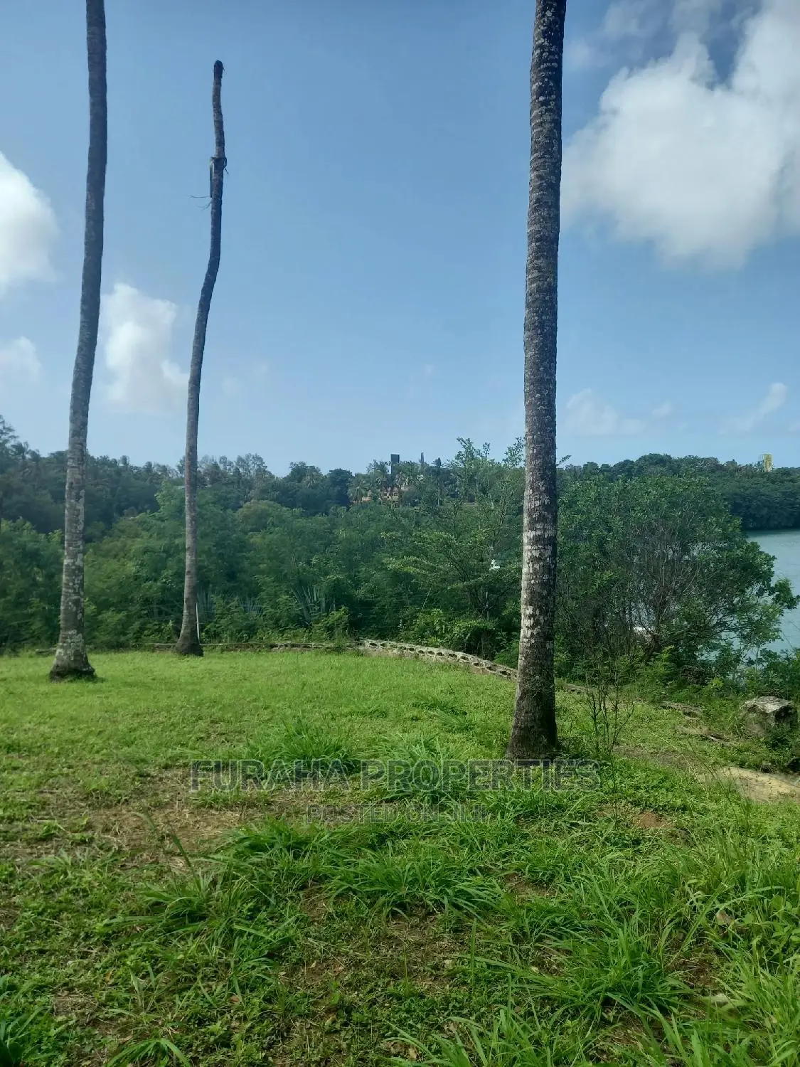 Prime 5.4 acre creek land in Mtwapa, perfect for development or investment. Contact us now! in Mtwapa