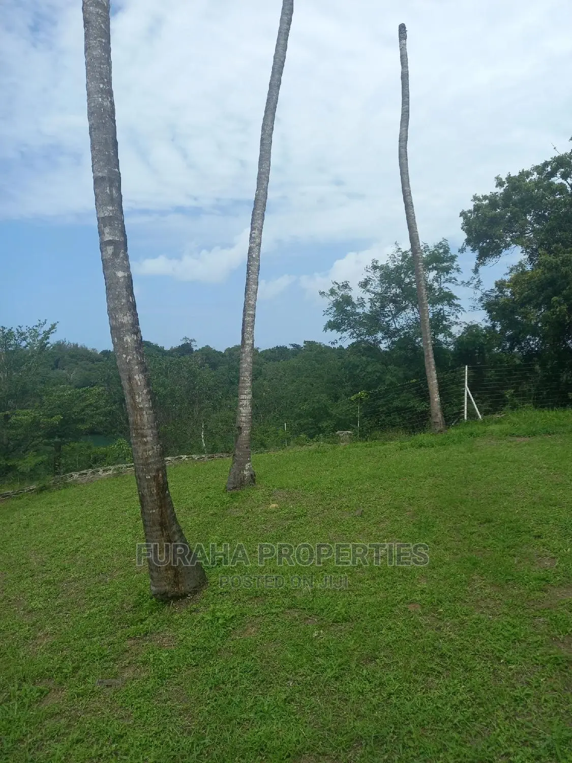 Prime 5.4 acre creek land in Mtwapa, perfect for development or investment. Contact us now! in Mtwapa