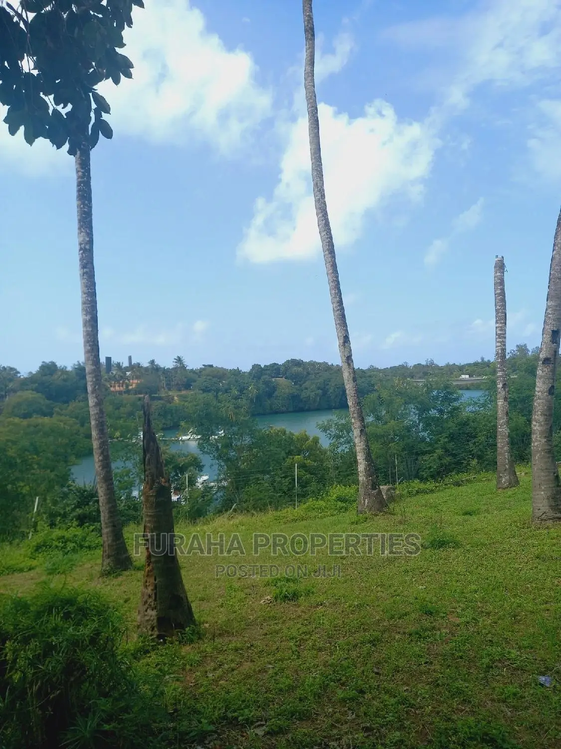 Prime 5.4 acre creek land in Mtwapa, perfect for development or investment. Contact us now! in Mtwapa