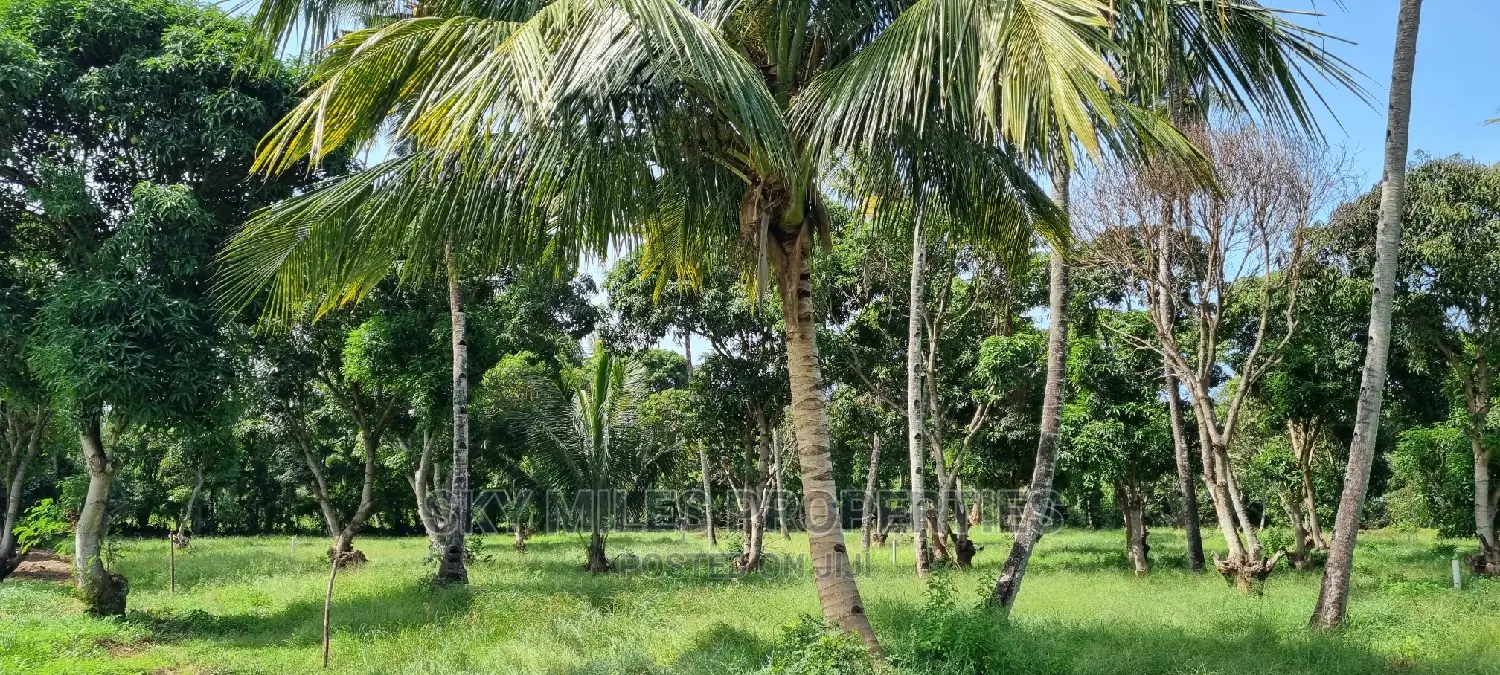 Spacious 4 Acre Plot in Mtwapa - Ideal for Subdivision - On the Market in Mtwapa