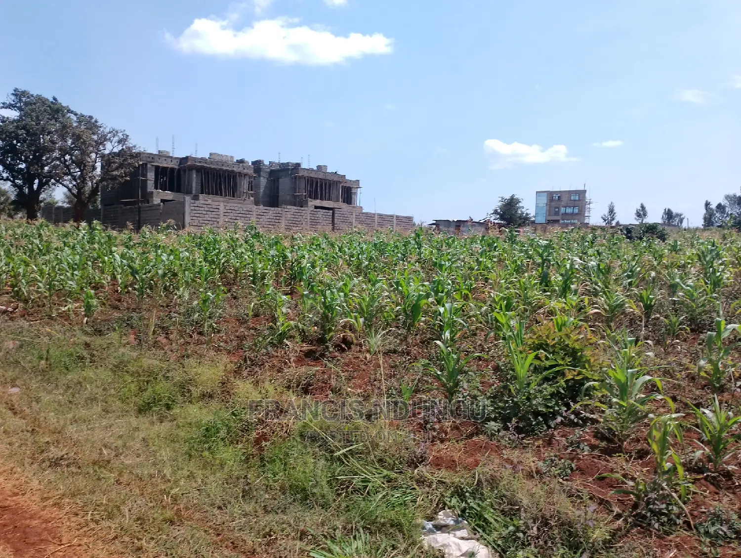 40x80 Plot in Kiora Estate Gated Community Kirigiti Migaa Rd in Riabai