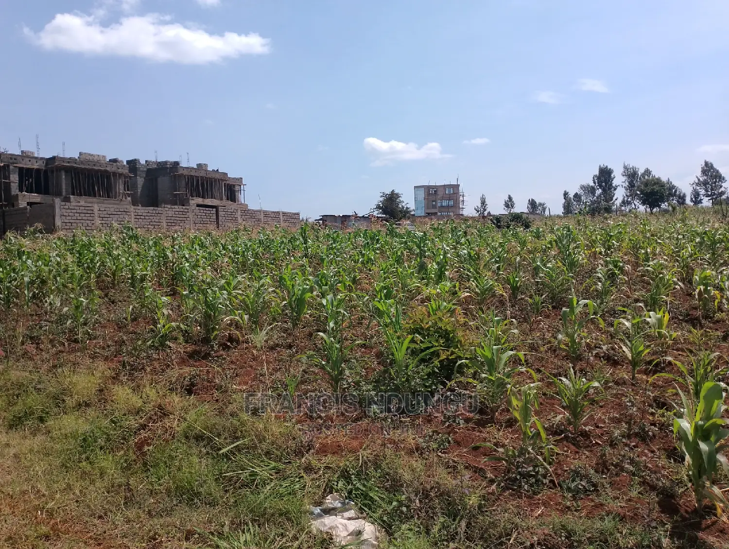 40x80 Plot in Kiora Estate Gated Community Kirigiti Migaa Rd in Riabai