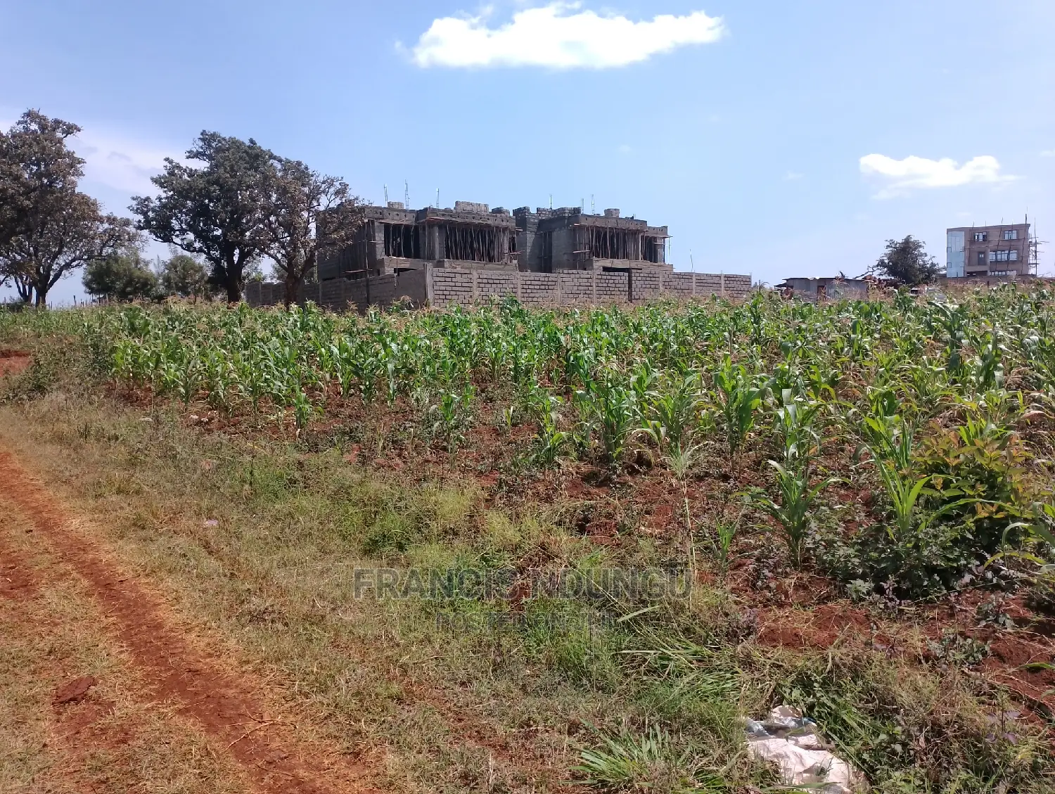 40x80 Plot in Kiora Estate Gated Community Kirigiti Migaa Rd in Riabai