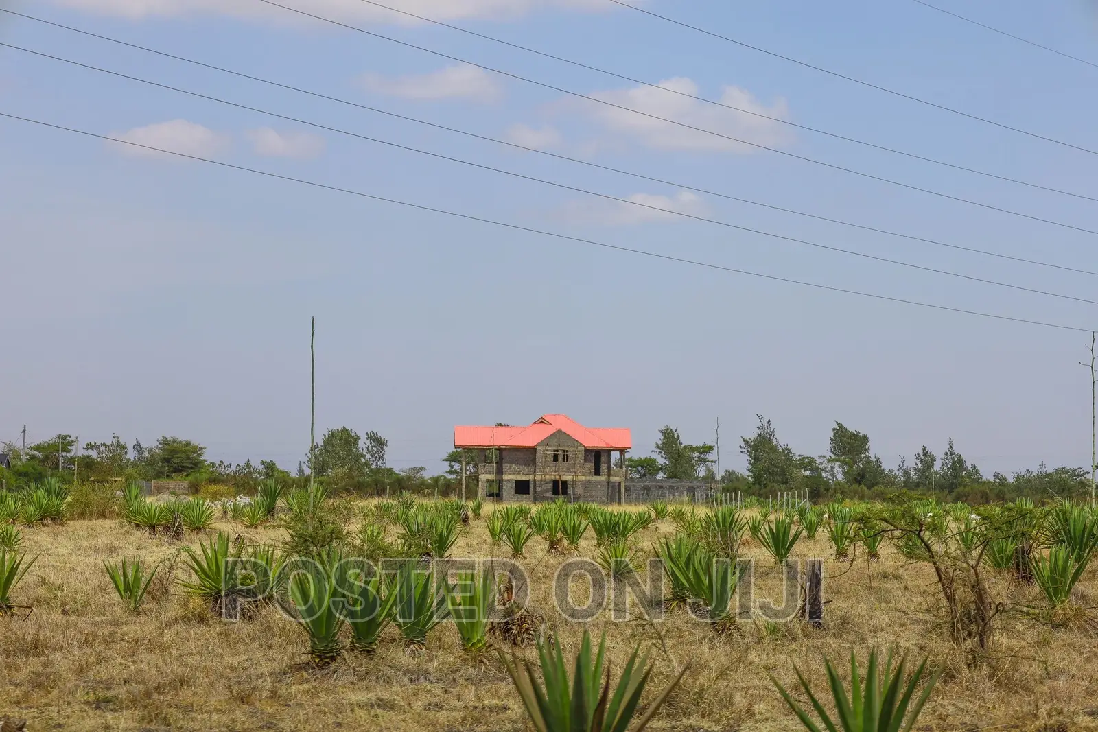 Plots for Sale 500m From the Main Road in Kalimoni