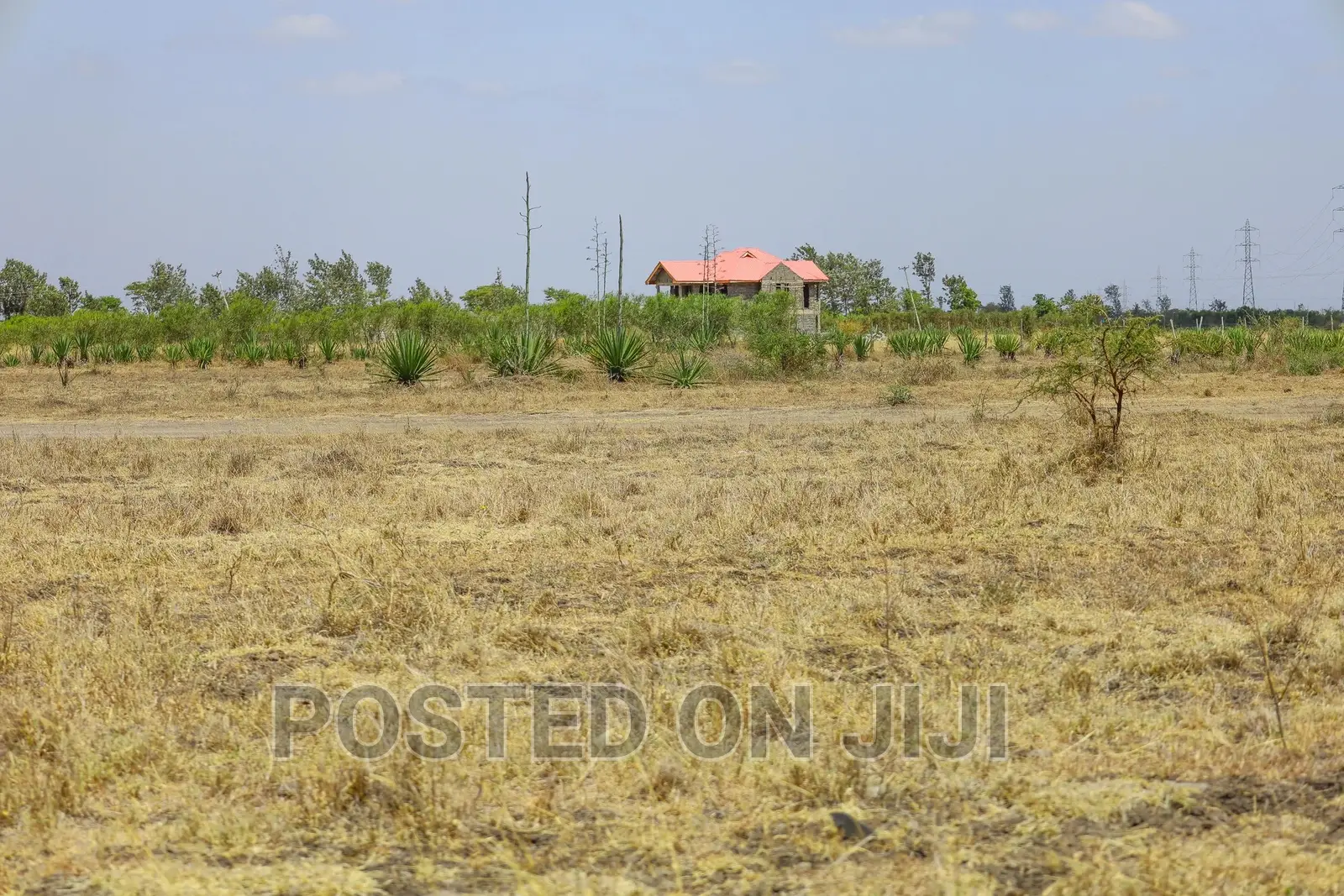 Plots for Sale 500m From the Main Road in Kalimoni