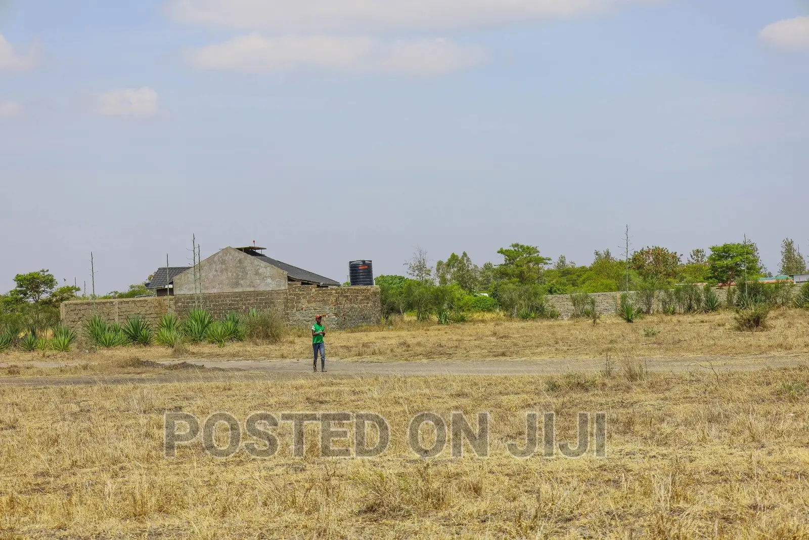 Plots for Sale 500m From the Main Road in Kalimoni