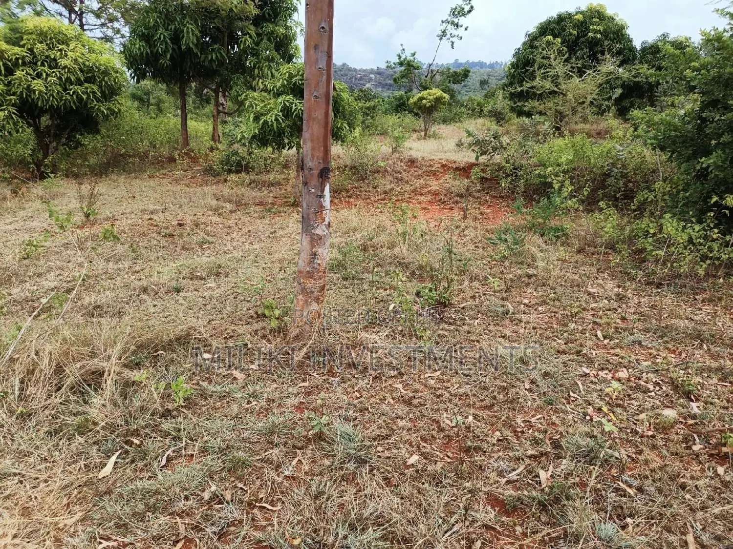 Buy 50 x 100 at Reduced Prices in Makuyu-Mithini! in Makuyu