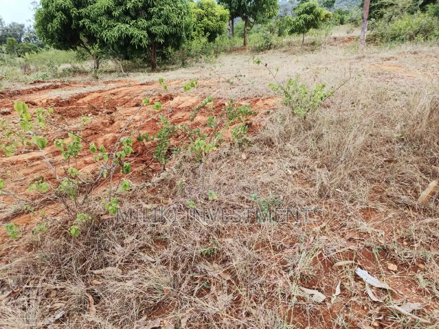 Buy 50 x 100 at Reduced Prices in Makuyu-Mithini! in Makuyu