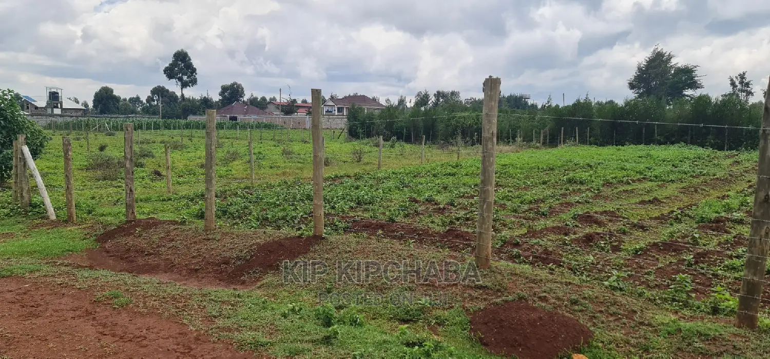 1/4 Plot for Sale: Prime Location in Elgongiew Racecourse, Eldoret in Racecourse