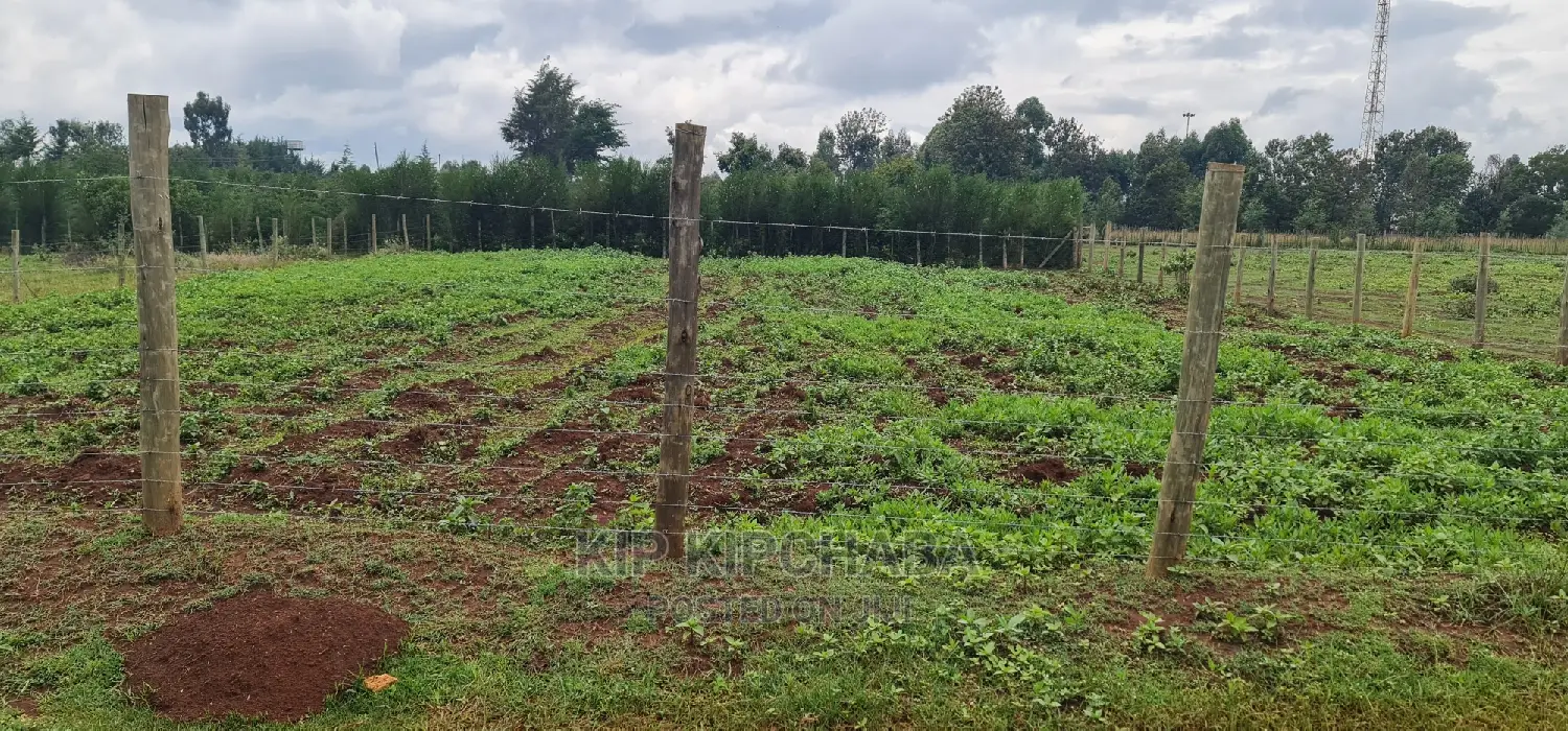 1/4 Plot for Sale: Prime Location in Elgongiew Racecourse, Eldoret in Racecourse