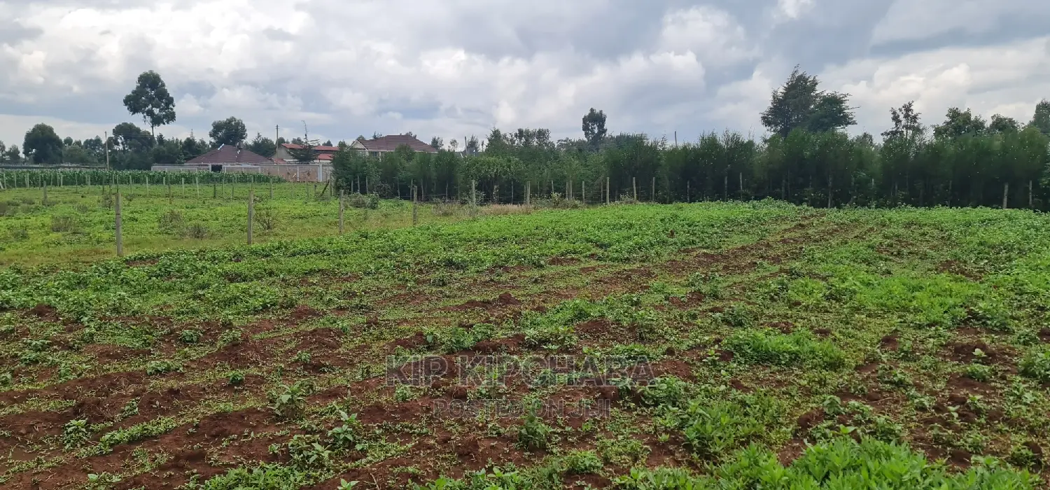 1/4 Plot for Sale: Prime Location in Elgongiew Racecourse, Eldoret in Racecourse