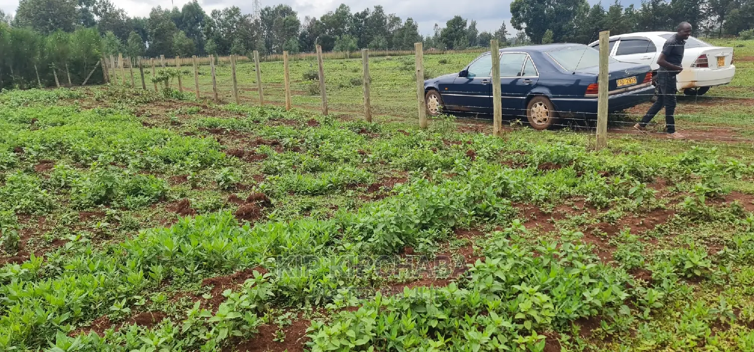 1/4 Plot for Sale: Prime Location in Elgongiew Racecourse, Eldoret in Racecourse