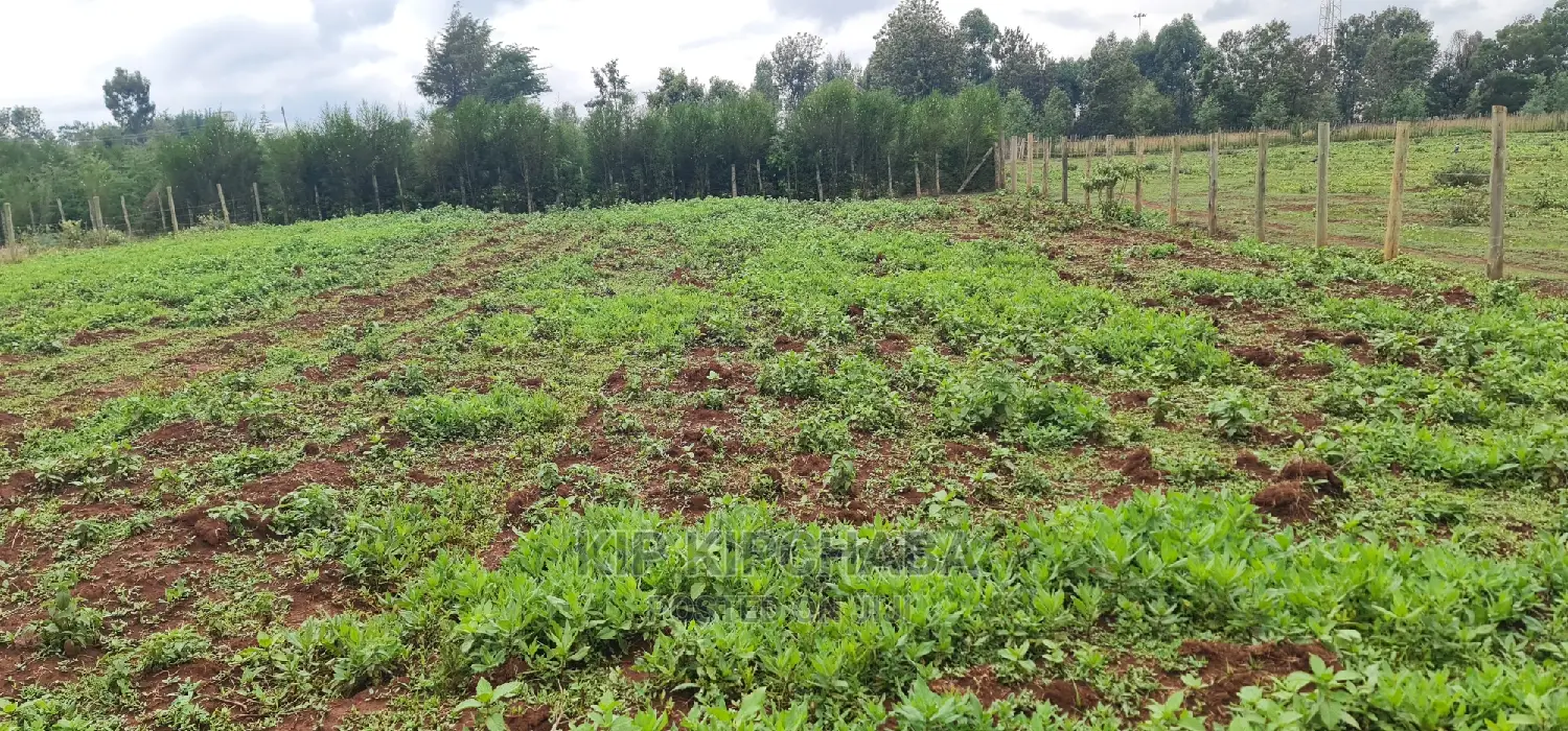 1/4 Plot for Sale: Prime Location in Elgongiew Racecourse, Eldoret in Racecourse