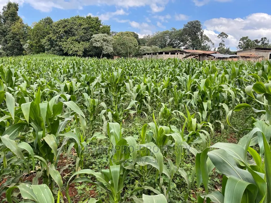 Kikuyu Town Land: Prime Investment Opportunity in Karai