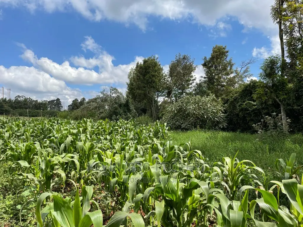 Kikuyu Town Land: Prime Investment Opportunity in Karai