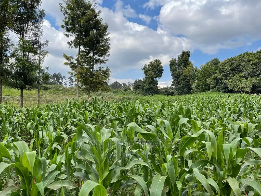 Kikuyu Town Land: Prime Investment Opportunity in Karai