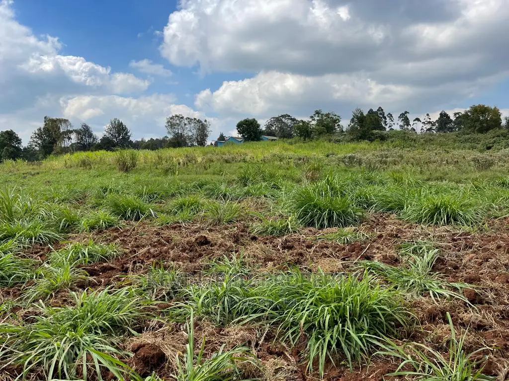 Kikuyu Town Land: Prime Investment Opportunity in Karai