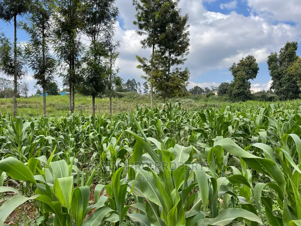 Kikuyu Town Land: Prime Investment Opportunity in Karai