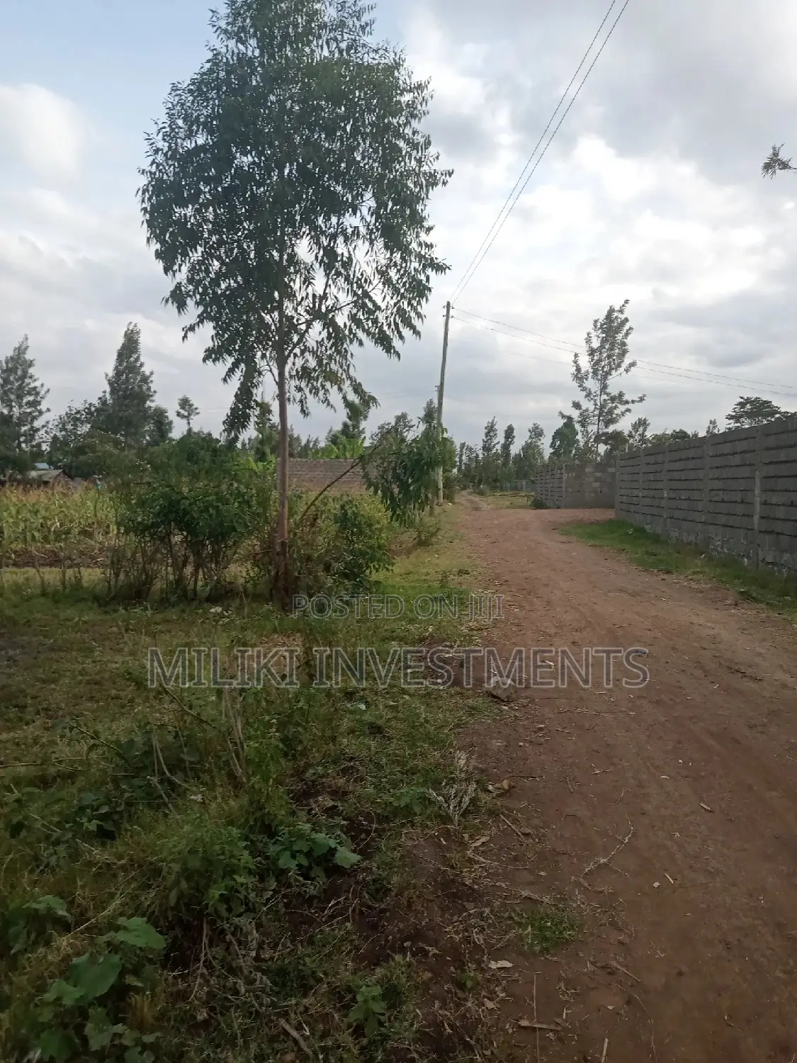 40x80 Plot for Sale in Prime Location - Kabati Zabka in Kimorori/Wempa