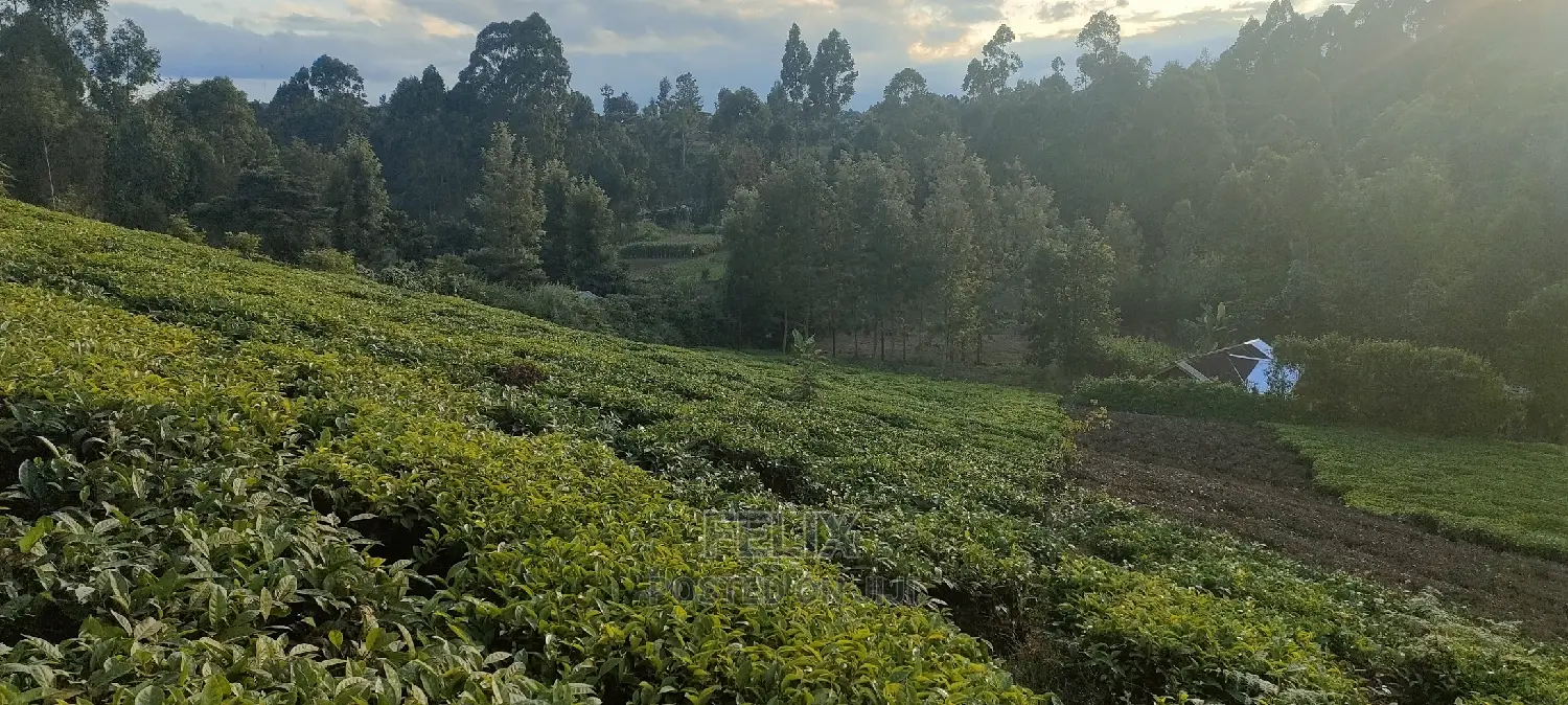 Karatina 1 Acre Gikumbo in Karatina Town
