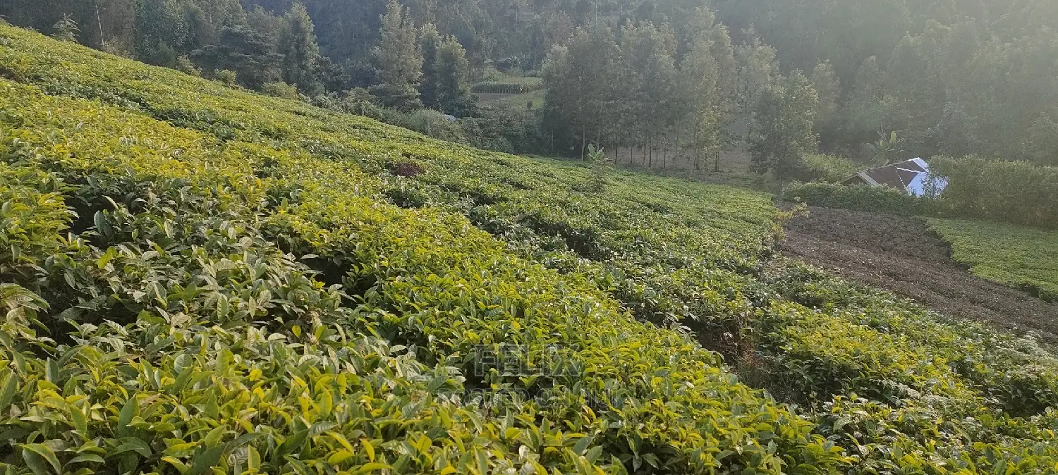 Karatina 1 Acre Gikumbo in Karatina Town